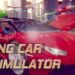 Flying Car Simulator